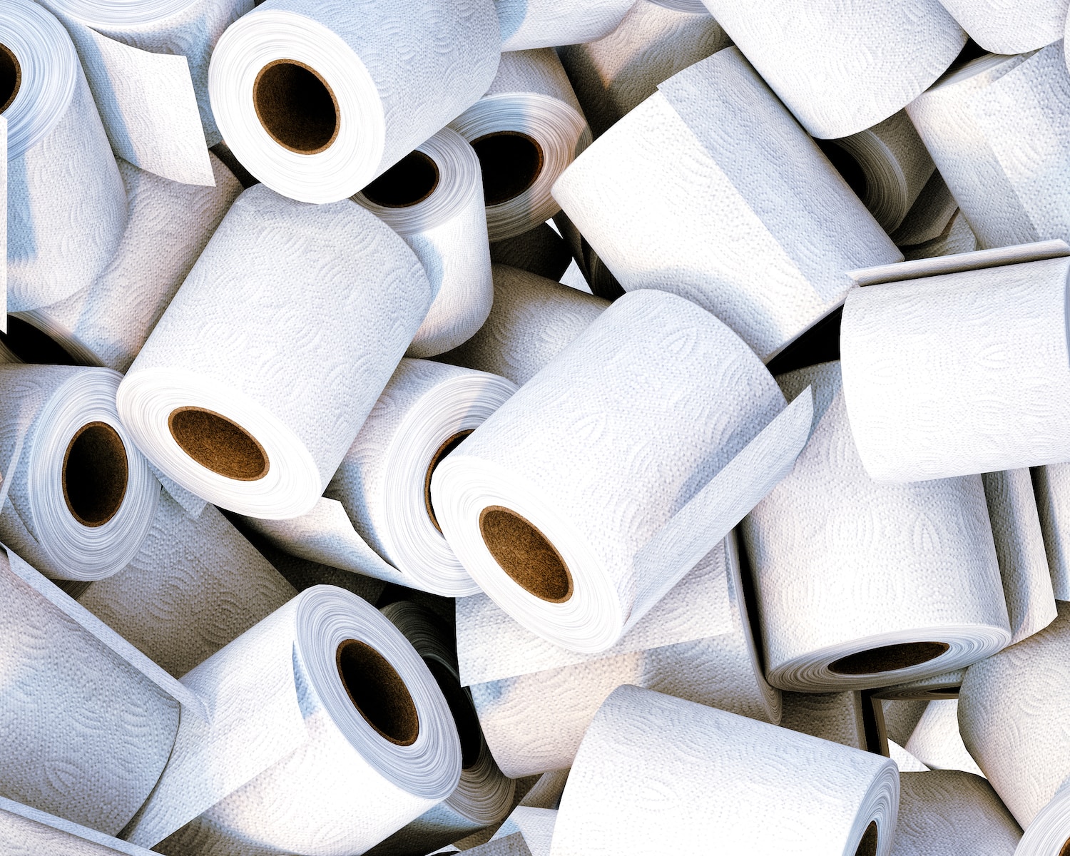 What Type Of RV Toilet Paper Should I Use?